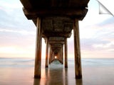 Scripps-Evening-Splinder_3d
