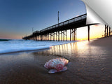 Balboa_Pier_Shell
