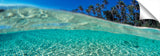 SD80split-level_palms_c