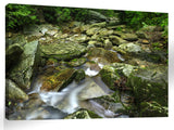 207BooneFork_3d