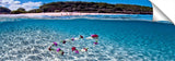 Waimea_082613_0247_CrystalClearLei1-1024x317_c