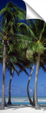 400-Soul-Sanct-50rgbLOWRES_c