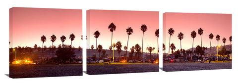 La_Jolla_Beach_Palms