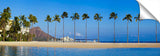 AlaMoana_080112_100_WaikikiPalms1-1024x317_c