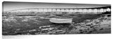 CoranadoBridge_11_2_62x20_c