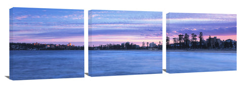 Manly_hues-David_Evans_c