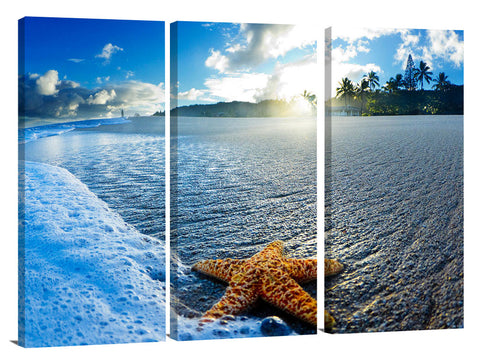 A starfish on the beach at sunrise.
