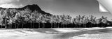 Diamond_Head_bw