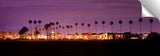 Balboa_Lollipop_Trees