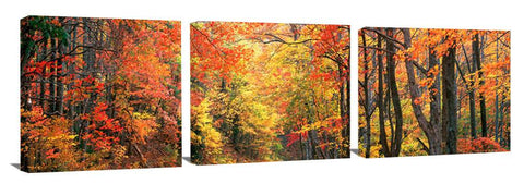 October-Road_3d