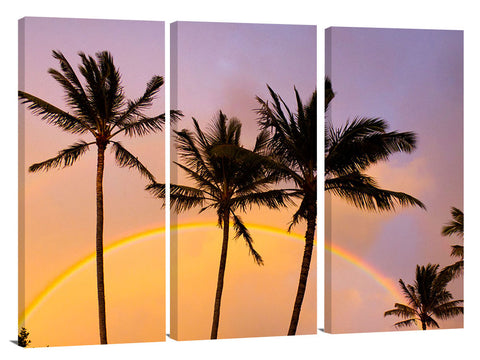 Beautiful apricot clouds and rainbow with palm trees at Turtle Bay.