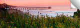 Scripps_Pier_pastels_