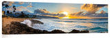 Golden_Haleiwa