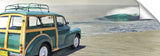 CentralCoastWoodyLowres_c