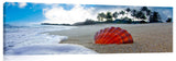 SunriseShell_072611_0466-7_60x20_e-1024x317_c