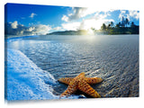 A starfish on the beach at sunrise.