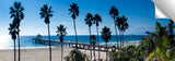 Manhattan_Beach_Pier_Palms