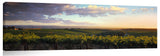 McLaren_Vale-SA-David_Evans_c