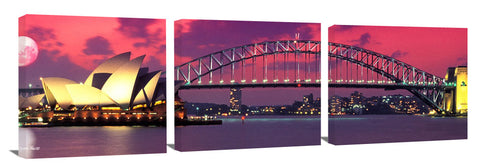 SydneyMoonrise_Trip_Cat