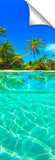UNDERWATERPALM#2_3d