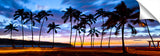 Palm_Fiesta