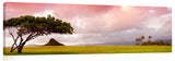 ChinamansHat_062911_Pano31-1024x317_c
