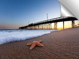 Balboa_Pier_Starfish
