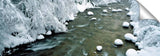 PA0183L_c
