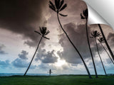 Alaia_Palms