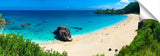 Bluewaimea_-1024x317_c
