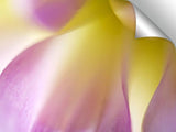 DSC0019