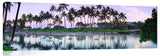 HiltonWaikaloa_020514_7_18x58_3d