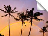 Beautiful apricot clouds and rainbow with palm trees at Turtle Bay.