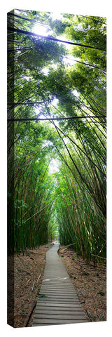 PipiwaiTrail4_3d