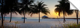 Zitahli_13_52_DawnThruThePalms-1024x318_c