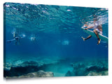 under water view of the reef at Pipeline, north shore, 01.08.08