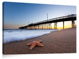 Balboa_Pier_Starfish