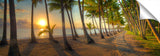 772A-Palm-COve-sharp_c