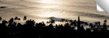 Waimea_Rolled_Gold