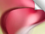 DSC0009