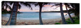 Kawelah_13_18_CoconutTreePastels-1024x317_c