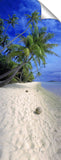 th_398-50rgb-flatLOWRES1_c