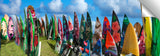 Surfboard_Garden