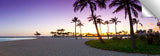 Beach_Palm_Pastels