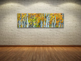 Aspen Trunks, Ready-to-Hang Photographic Print On Canvas