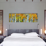Aspen Trunks, Ready-to-Hang Photographic Print On Canvas