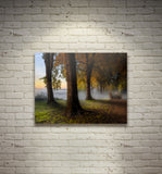 DREAMLAND, Ready-to-Hang Photographic Print On Canvas