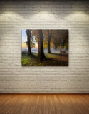 DREAMLAND, Ready-to-Hang Photographic Print On Canvas