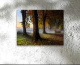 DREAMLAND, Ready-to-Hang Photographic Print On Canvas