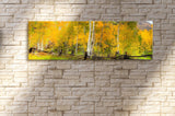 Golden Forest, Ready-to-Hang Photographic Print On Canvas